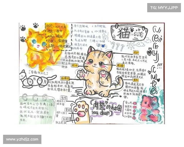 探索自然灵兽的神秘王国与奇幻奥秘全景指南 探索自然灵兽的神秘王国与奇幻奥秘全景指南